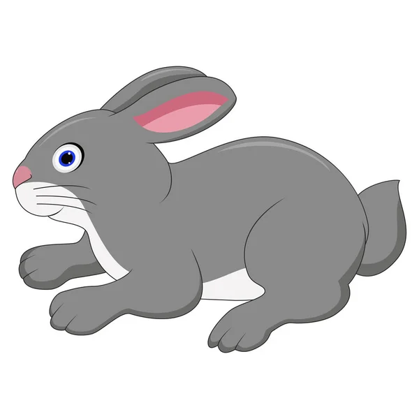 Niedliche Kaninchen Karikatur Isoliert Auf Weißem Hintergrund — Stockvektor