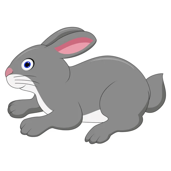 Mignon Lapin Dessin Animé Isolé Sur Fond Blanc — Image vectorielle