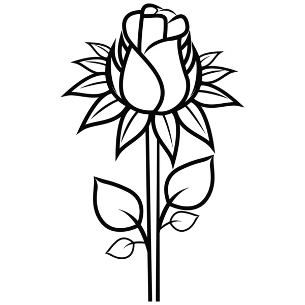 ดอกก หลาบส าแยกจากเวกเตอร ขาว — ภาพเวกเตอร์สต็อก