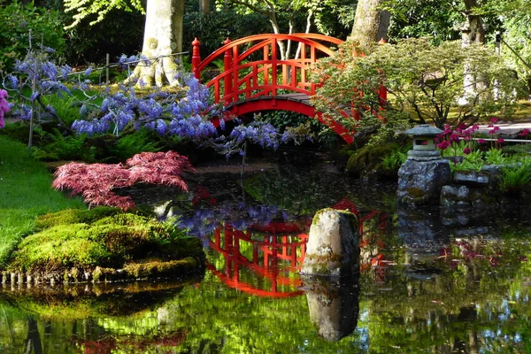 Beautiful Japanese Garden Den Haag Holland Spring Lovely Red Bridge — Stock Photo, Image