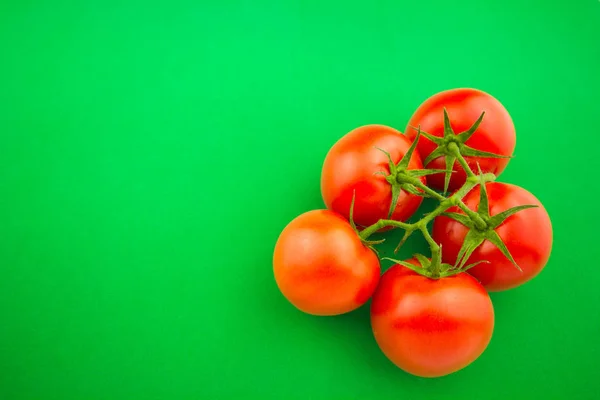 Frische Rote Tomaten Auf Grünem Rücken — Stockfoto