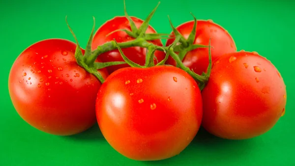 Frische Rote Tomaten Auf Grünem Rücken — Stockfoto