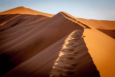 Namib Çölü, Namibya, Afrika Dune