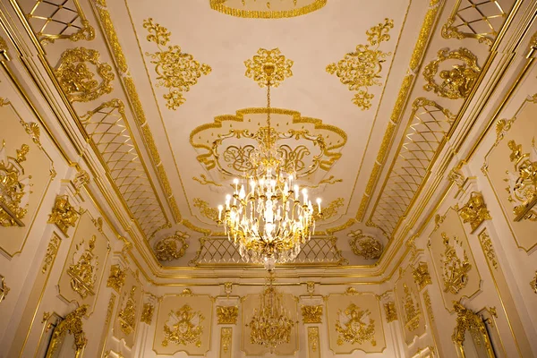 View Rooms Nesvizh Castle Belarus Beautiful Chandeliers Ceilings Selective Ficus — Stock Photo, Image