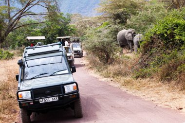 Afrika filleri oturan turist