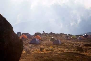 Shira Kampı'nda Machame rota, Kilimanjaro Dağı Milli Parkı, Tanzanya