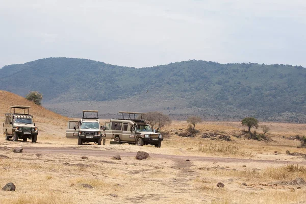 4x4 safari cars parked