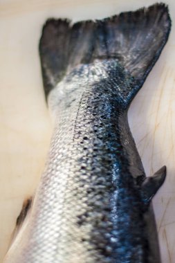 Beyaz zemin üzerinde taze somon balık