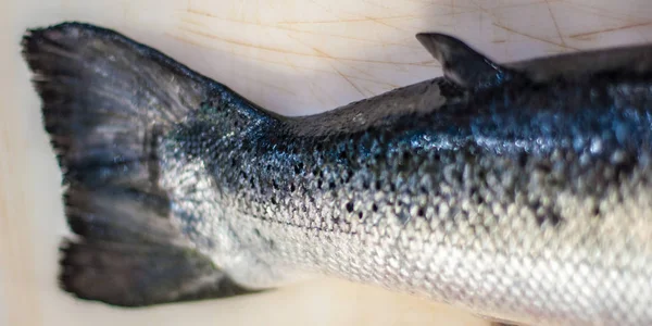 Peixes Salmão Frescos Branco — Fotografia de Stock