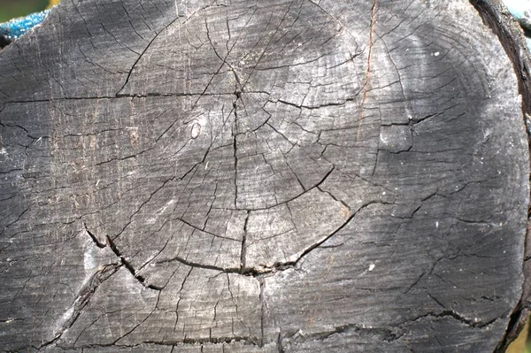 Braune Holzstruktur Abstraktes Holz Textur Hintergrund — Stockfoto