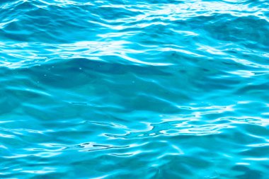 Sualtı sahne, masmavi su okyanus manzarası, deniz keşfetmek dalgıçlar bölme su hattı