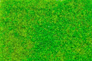 Oval deniz üzüm deniz yosunu, yakın çekim yeşil beyaz arka plan üzerinde izole havyar.