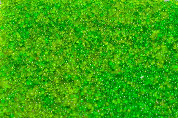 Oval Meerestrauben Algen Nahaufnahme Grüner Kaviar Isoliert Auf Weißem Hintergrund — Stockfoto