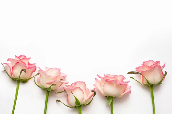 Cinque Rose Rosa Sfondo Bianco Belle Rose Fresche — Foto Stock