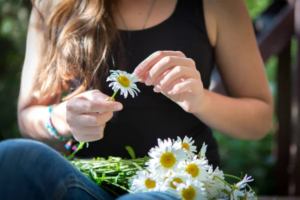 Hands of the girl guessing on chamomile