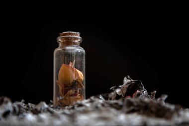 Çiçek yaprakları ile şişe. Siyah bir arka plan üzerinde kül. Anılar