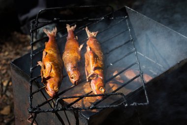 Füme balık ızgara. Gri-siyah arka plan üzerinde altın balık