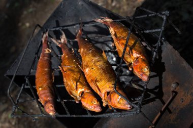 Füme balık ızgara. Bir gri ve siyah backgr altın balık