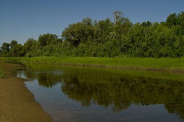 Parlak güneşli bir gün. Dar bir nehir, kumlu plaj. Mavi gökyüzü. 