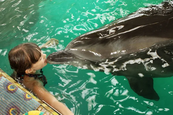 Dolphin kisses a girl, swimming with a dolphin, communication wi