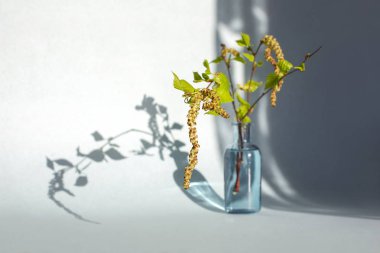 Vazodaki huş ağacının suyu. Güzel gölgeler, güneşli bir gün...