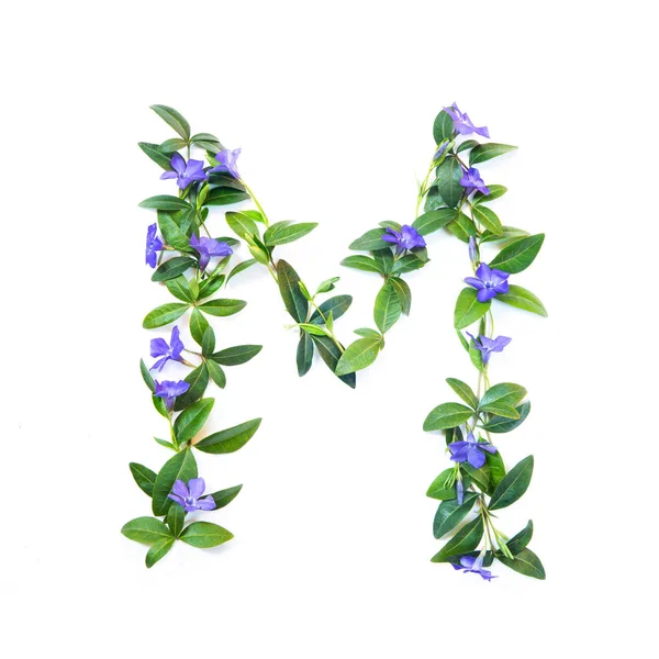 M, letter van het alfabet van bloemen geïsoleerd op witte backgroun — Stockfoto