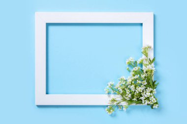 Mavi arka planda beyaz çerçeve. Tarla çiçekleri. Yer