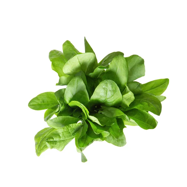 Sorrel tuft on white isolated background. View from above. — Stock Photo, Image