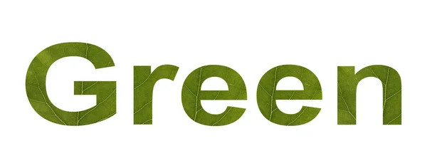 Zielone słowo z zielonego liścia na białym tle. Koncepcja — Zdjęcie stockowe