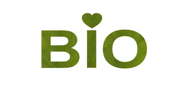 Bio woord uit groen blad geïsoleerd op witte achtergrond. Concept: — Stockfoto