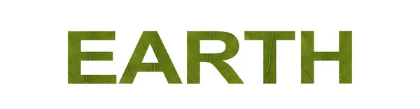 Woord Aarde uit groen blad geïsoleerd op witte achtergrond, macro shot. Concept: milieuvriendelijk, tekst. Milieubescherming. — Stockfoto