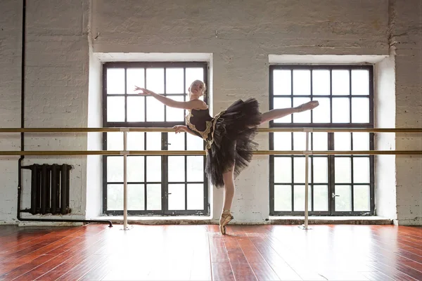 Rehearsal ballerina in the hall. Wooden floor,  large windows. B