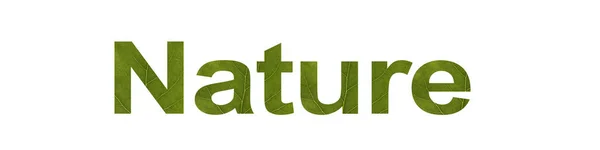 Palavra NATUREZA de folha verde isolada no fundo branco, macro — Fotografia de Stock