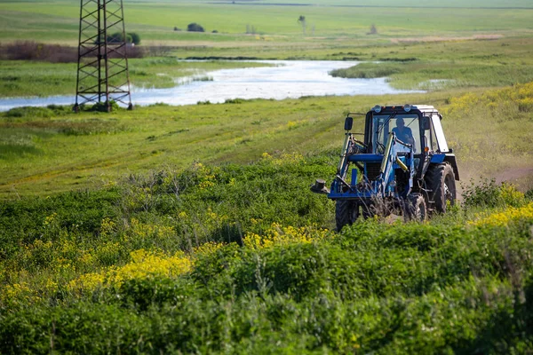 Tractor rides on the field. Summer sunny day. Blooming colza.  Russian province. — Stock Photo, Image