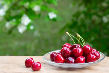 Yeşillik arka planda bir cam tabak üzerinde Kiraz. Bokeh ile yeşil bulanık arka plan. Parlak güneşli bir gün. Sulu, lezzetli, sağlıklı meyveler. 