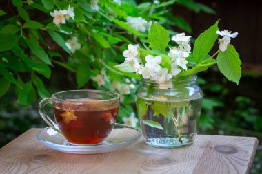 Bir fincan çay ve yasemin dallarıyla dolu bir vazo. Yeşil bulanık arka plan. Arka planda çiçek açan yasemin dalları. Yaz havası. Parlak yaz güneşli gün. 