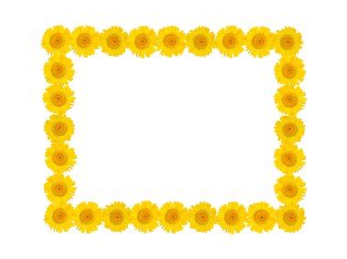 Beyaz izole arka plan üzerinde parlak sarı krizantem çiçekleri Çerçeve. Yaz havası. Boş alan. Dekoratif eşyalar