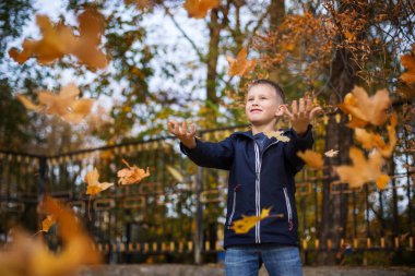Çocuk sonbahar yaprakları atıyor. Neşeli çocuk. Park, sonbahar günü.