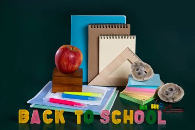 Okula geri dön. Okul malzemeleriyle dolu bir hayat. Arka plan. Defterler, defterler, keçeli kalemler. 