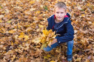 Sarı yaprakların arka planındaki parktaki çocuk. Yukarıdan görüntüleyin. Avrupa görünüm bir çocuk mavi ceket ve kot giymiş. 