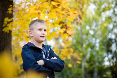 Parkta Avrupalı bir çocuk. Bokeh ile sarı bulanık arka plan. 