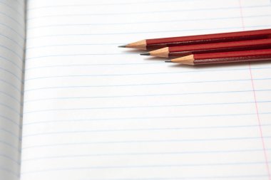 Kurallı bir defterdeki kalemler. Close. Kopyalama alanı. 