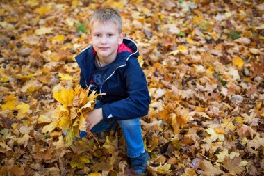 Sarı yaprakların arka planındaki parktaki çocuk. Yukarıdan görüntüleyin. Yaprak buketi.