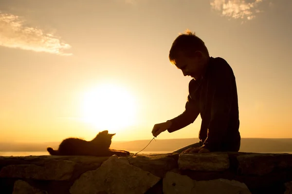 Siluetas de jugar niño y gatito contra el cielo del atardecer. Comunicación con los animales. Chico alegre. Puesta de sol brillante. Foto divertida . — Foto de Stock