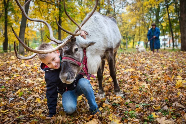 Мальчик обнимает оленя. Отом Парк. Осенний день. Общение с животными . — стоковое фото