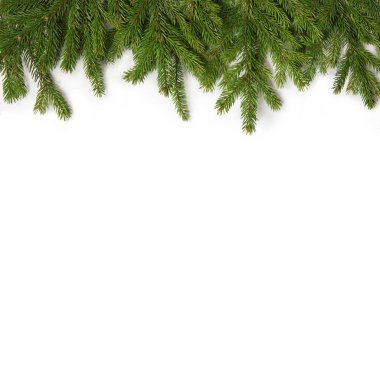 Beyaz izole arka plan üzerinde ladin yeşil dalları. Yeni Yıl ve Noel için tebrik kartı. 