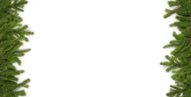 Beyaz izole arka plan üzerinde ladin yeşil dalları. Yeni yıl ve Noel için tebrik kartı. Ladin dökmeyen sprigs çerçeve.