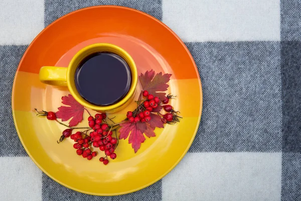 A yellow cup of tea stands on a plate. On a plate are clusters of mountain ash, rosehip berries and red autumn leaves. Homeliness, autumn mood. View from above.