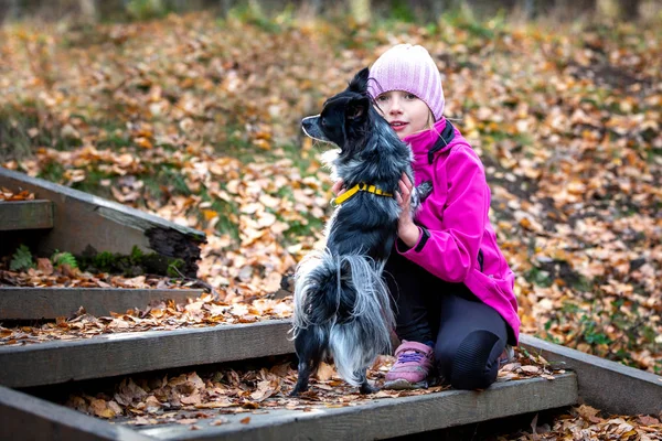 A girl of Caucasian appearance plays with a small papillon dog. Blurred yellow background.
