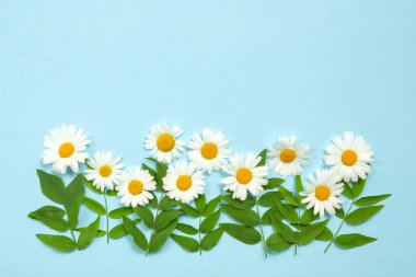 Kalp papatyadan yapılmıştır. Mavi arkaplanda amomiller. 